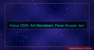 apa arti ketua osis