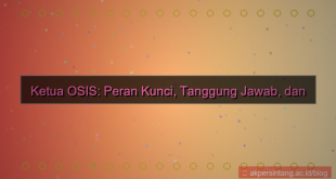 visual apa itu ketua osis
