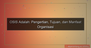 apa itu osis