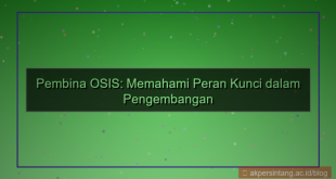 visual apa itu pembina osis