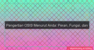 apa pengertian osis menurut anda jelaskan