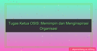 apa tugas ketua osis