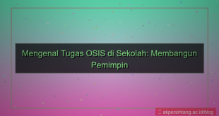 gambar apa tugas osis di sekolah