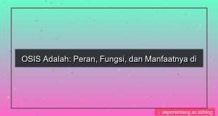 tampilan apa yang dilakukan osis