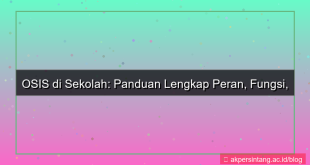 konten apa yang kamu ketahui tentang organisasi osis