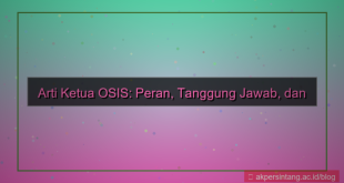 tampilan arti ketua osis