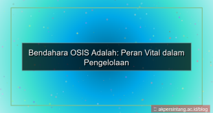 visual bendahara osis adalah