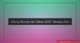 visual berapa hari lagi 2027