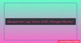 tampilan berapa hari lagi tahun 2030