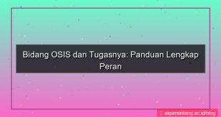bidang osis dan tugasnya