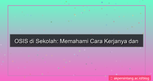 tampilan cara kerja osis