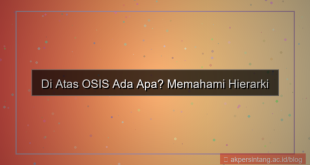 di atas osis ada