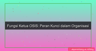 desain fungsi ketua osis