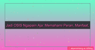 ilustrasi jadi osis ngapain aja