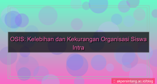 visual kelebihan dan kekurangan osis