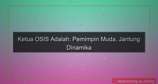 ketua osis adalah