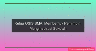tampilan ketua osis sma