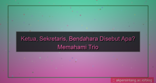 tampilan ketua sekretaris bendahara disebut