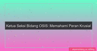 gambar ketua seksi bidang osis