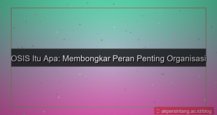desain menurut kamu osis itu apa