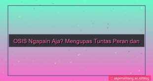 gambar osis ngapain aja