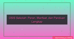 visual osis sekolah