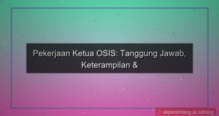 pekerjaan ketua osis