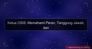 pengertian ketua osis