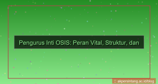 visual pengurus inti osis