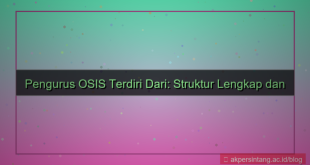 ilustrasi pengurus osis terdiri dari