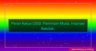 gambar peran ketua osis