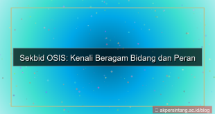 ilustrasi sekbid osis apa saja