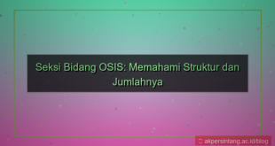 desain seksi bidang osis ada berapa