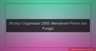 ilustrasi struktur organisasi osis