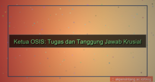 tugas dan tanggung jawab ketua osis