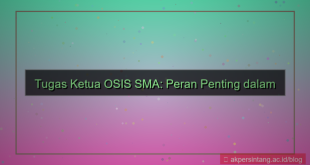 ilustrasi tugas ketua osis sma