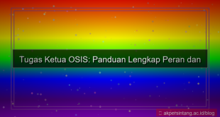 ilustrasi tugas tugas ketua osis