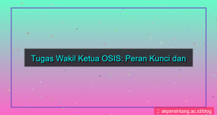 ilustrasi tugas wakil ketua osis