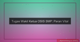 tugas wakil ketua osis smp