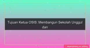 tampilan tujuan ketua osis