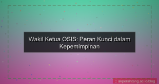 wakil ketua osis