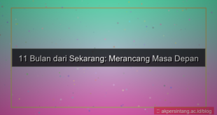 tampilan 11 bulan dari sekarang