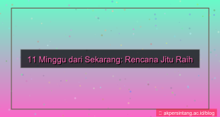 desain 11 minggu dari sekarang