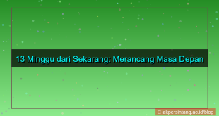 ilustrasi 13 minggu dari sekarang