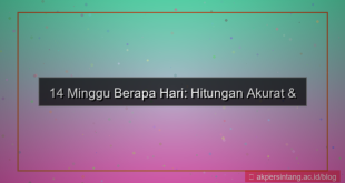 konten 14 minggu berapa hari