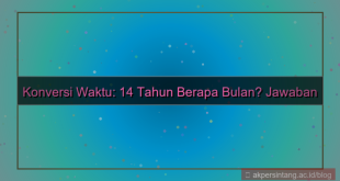 tampilan 14 tahun berapa bulan