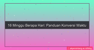 gambar 16 minggu berapa hari