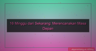 visual 16 minggu dari sekarang