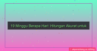 tampilan 19 minggu berapa hari