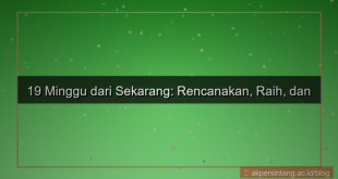 19 minggu dari sekarang